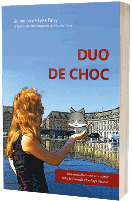 Roman Duo de choc de Lyvia Palay