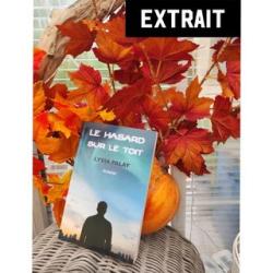 Extrait du roman Le hasard sur le toit