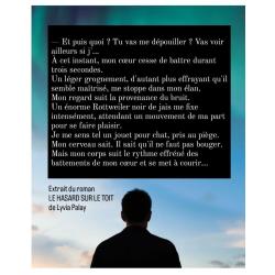 Extrait du roman Le hasard sur le toit