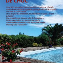 Roman Duo de choc de Lyvia Palay format broché